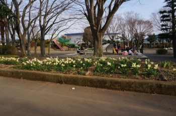 花のある公園はいいですね。