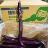熊本県産 「大長なす(長助)」が入荷していますよ～♪♪ | 佐々豊青果の