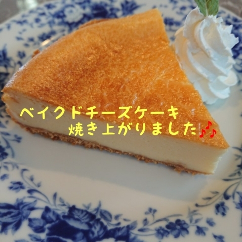 「☆ベイクドチーズケーキとお休みのお知らせ☆」