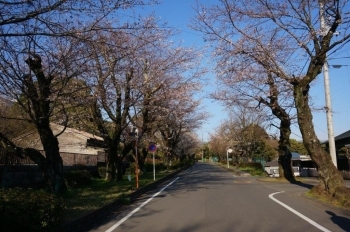 遺伝学研究所入口より上（東）です。