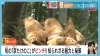 岡中たけのこ 5キロ リゾットさま専用 岡中タケノコ5キロ