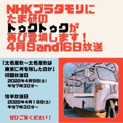 【たま研トゥクトゥク】NHKブラタモリに再び登場‼　【2022年春の旅行　少人数貸し切りツアーは『たま研』にお任せ！家族　癒し　巡り　ツアー　関東　東京　ラウンジ】