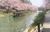 花筏様 波に花筏模様訪問着(I83360x+) 着物紹介