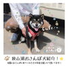 狭山 湖 動物 霊園