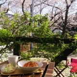 『Cherry blossom（チェリーブラッサム）』おうちごはんとシフォンケーキのお店【函南町 平井 ランチ】