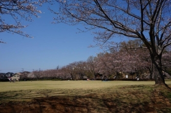 全体的にはもう少しといった感じ。