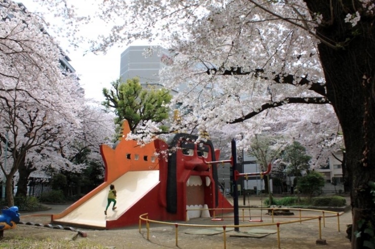 立川の隠れた名所となっている通称「オニ公園」。<br>この公園にも桜が植えられていて<br>毎年近所の人たちの花見の場所となっています。