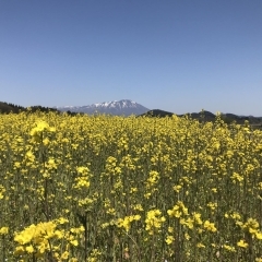 【雫石町】町場地区園地