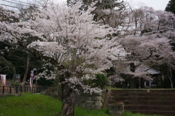 きれい♪