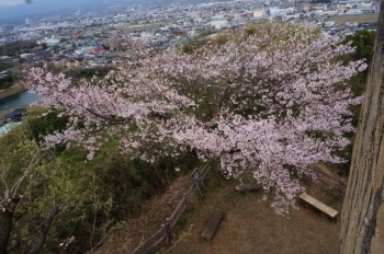 展望台から撮ってみました。