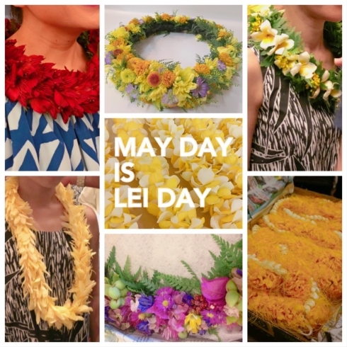 May day is Lei day「May day is Lei day」