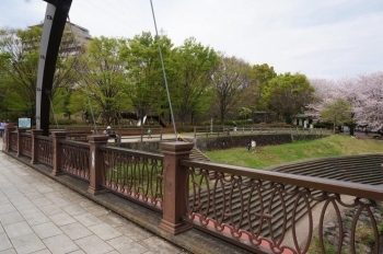 鮎止橋から見た上岩崎公園です。