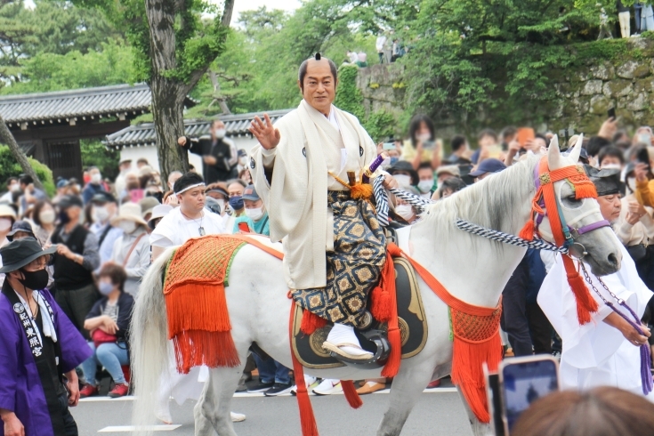 「和歌祭四百年式大祭に行ってきました！【参加レポ】」