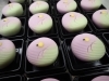 和菓子　学研　古本　練り切り 和菓子 学研 古本 練り切り - メルカリ