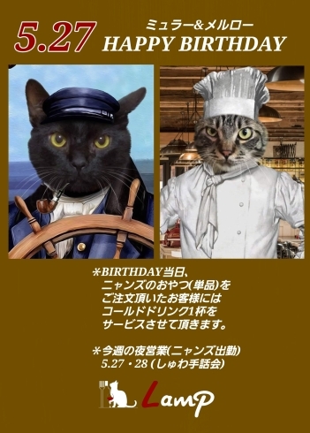 猫の誕生日「HAPPY BIRTHDAY」