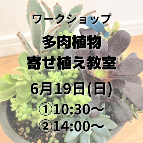「多肉植物寄せ植え教室【6月イベント】」