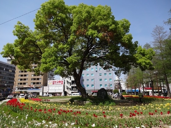 阪神尼崎駅北側「中央公園」です！