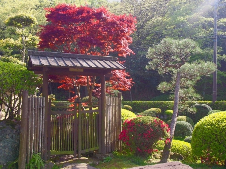 通路右側の日本庭園は必見。