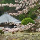 第22番札所　「棲眞寺」