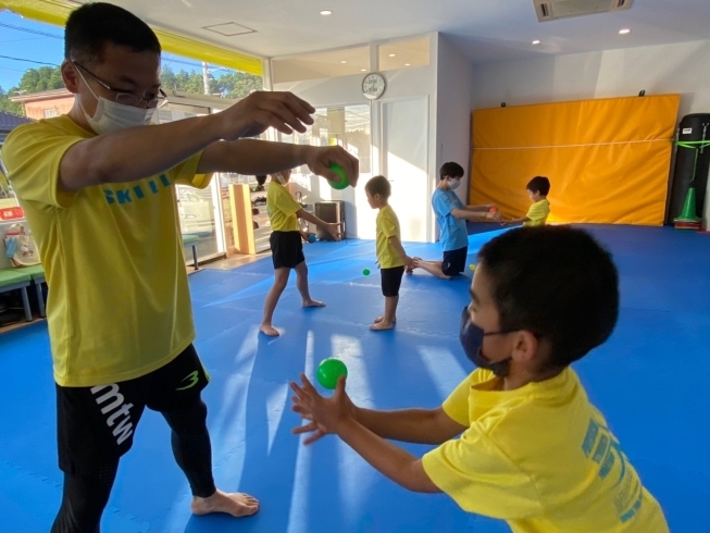 ボールキャッチで反射神経と集中力を鍛えます。「鉾田市行方市のお子様の習い事にピッタリ 子供のスポーツクラブ」