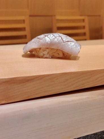 シンコの握り寿司「北海道産鰊(ニシン)のシンコです！【久屋大通・丸の内で寿司（鮨）と日本酒が美味しい隠れ家。少人数会食や記念日にどうぞ】」