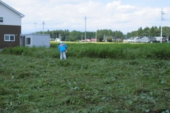 機械を使用しての除草作業も承ります
料金は5000円～です「一般社団法人 心桜（こはる）福祉会」