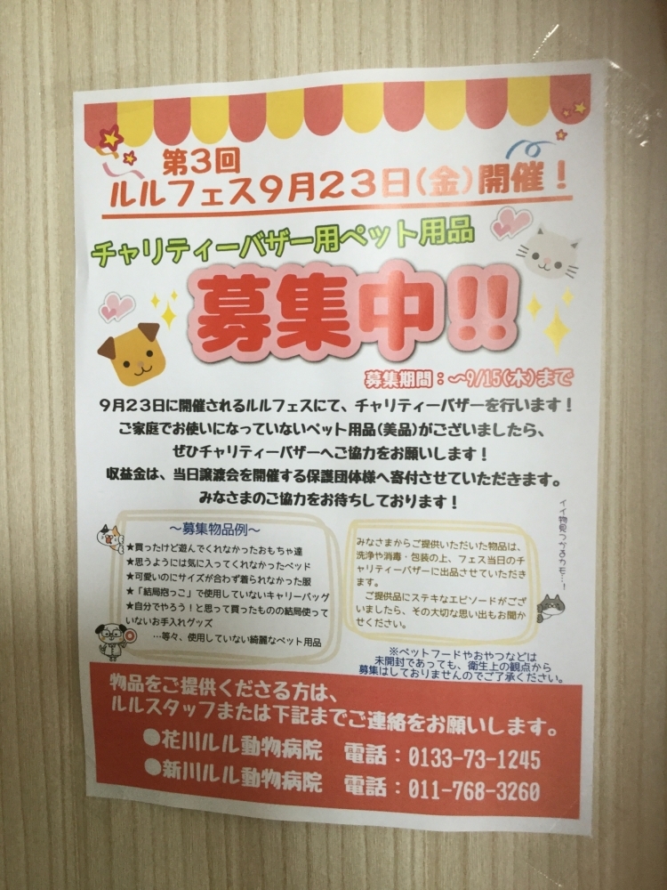 ルルフェス開催決定！！石狩市、動物病院 | 花川ルル動物病院の