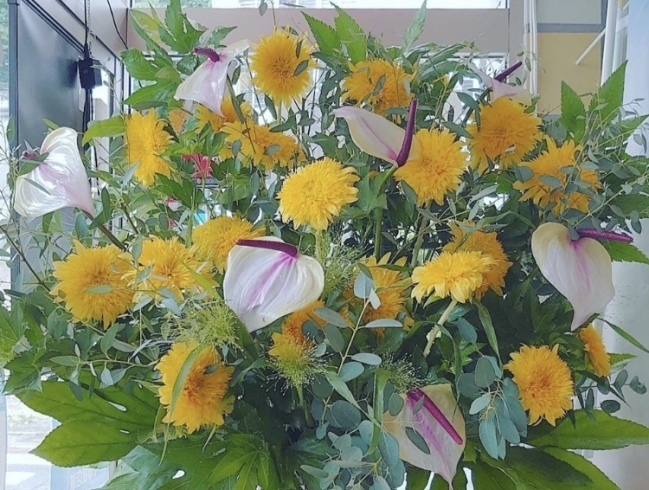 アンスリウムが艶を足して一層華やかに「夏のお祝いスタンド花」