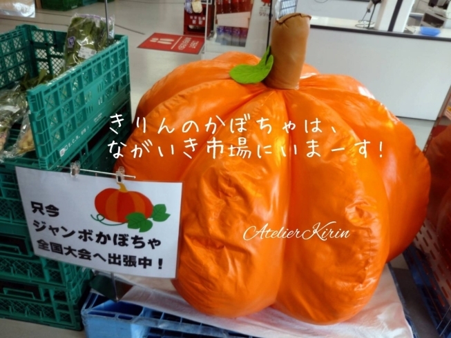 「ながいき市場」さんのお野菜売り場です!「【ながいき市場！ジャンボかぼちゃぬいぐるみ!】」