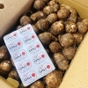 岩手県北上市の特産品「二子さといも(JA共選品)」の入荷が始まりました