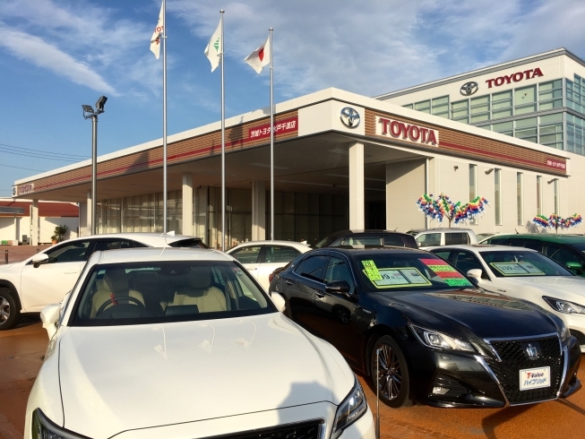 お気軽にお越しください。「茨城トヨタ自動車水戸千波店では車検、整備も承っております！」
