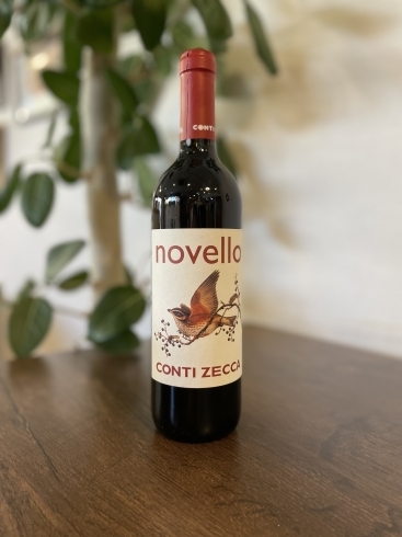 イタリア　ワイン　Vino Novello「イタリア ワイン、ヴィーノ・ノヴェッロ解禁！！」