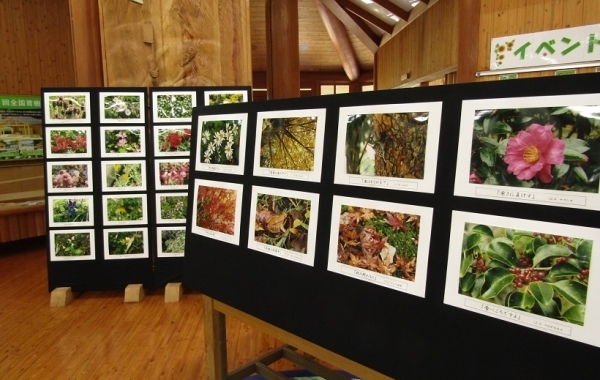 満濃池森林公園　第13回生き物写真展と第8回まんのうっ子の文化発表会