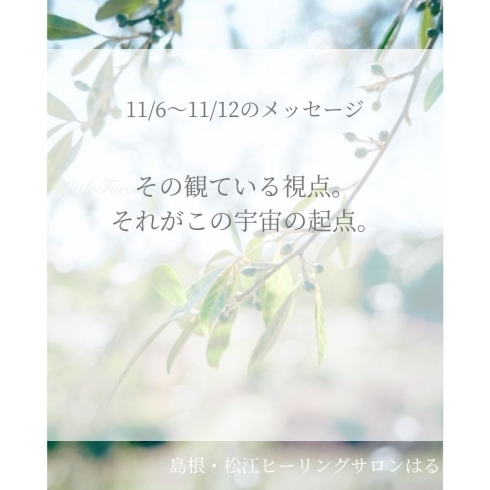 photo noriko sejiri「＊　11/6〜11/12 守護天使のメッセージ」