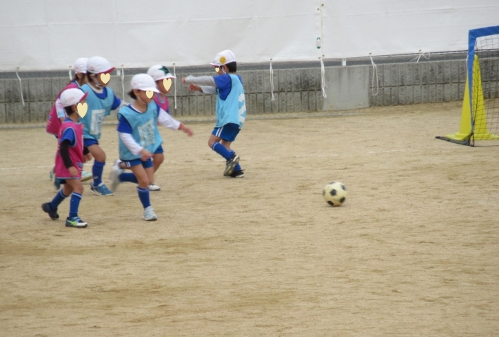 試合でボールを取り合う園児たち「サッカー教室の参観日」