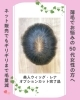 【2025最新作】 ウィッグで髪のお悩みを解決する『美人ウィッグ』公式ECサイト ウィッグ・エクステ