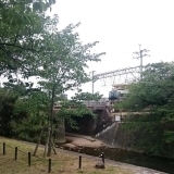 新緑の夙川公園