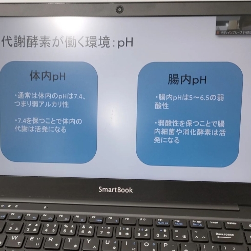 「【トレーナー研修のご紹介】【本八幡・市川で有資格トレーナーのパーソナルトレーニングジム★】」