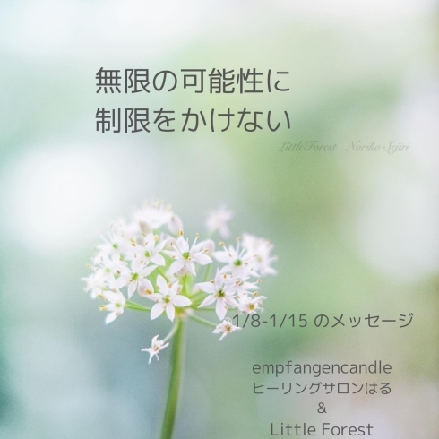 photo little forest（瀬尻典子）「＊　1/8-1/15　守護天使のメッセージ」
