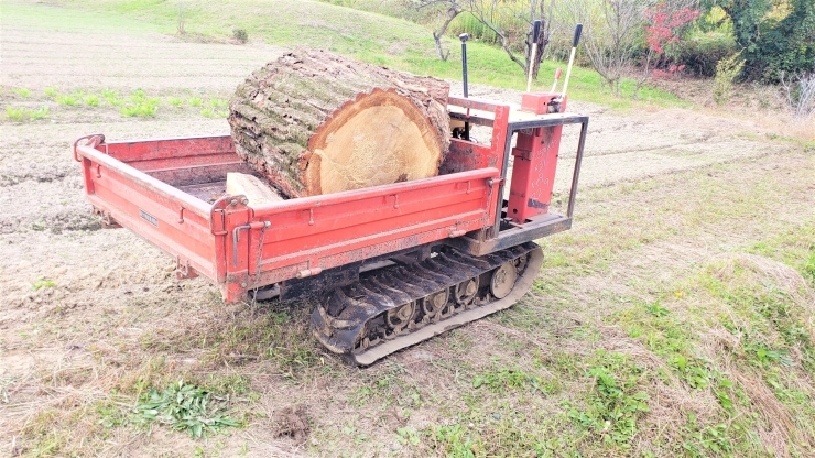 （写真1）運搬車に積むの結構大変でした。「立木伐採の運搬風景」