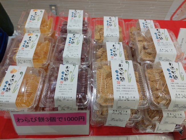名物の『わらび餅』。モチモチで美味しいです♪「【和歌山駅の大人気スイーツフェア！】和歌山市の和菓子屋「紫香庵」が出店！」