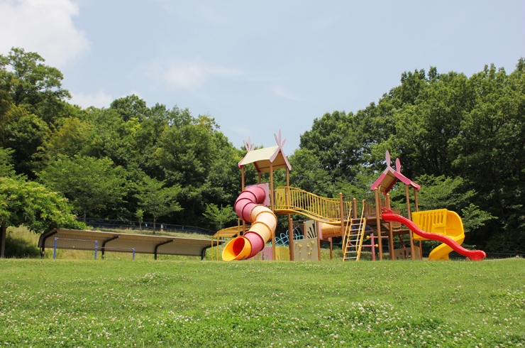 大きな複合遊具で子どもも大満足♪　芝生はかなり急な斜面で、ボール遊びなどは厳しいかも（笑）