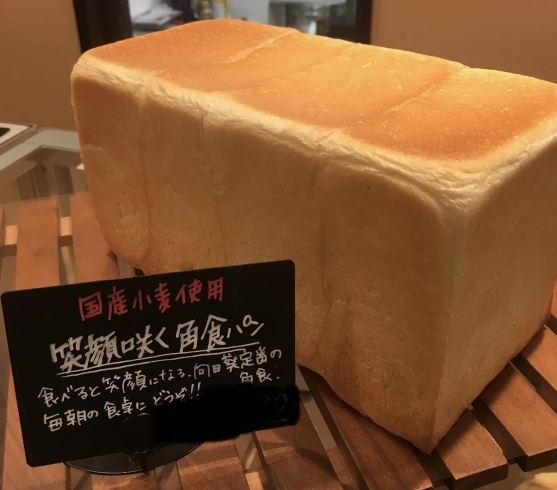 リピート率NO.1角食パン「藤沢　湘南台　国産小麦の食パン」