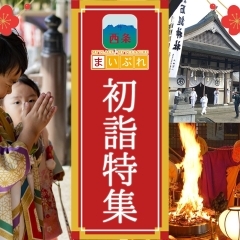 【2026年】初詣に行こう!!(西条市)
