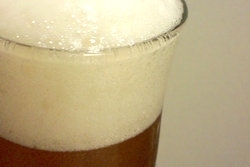 この泡立ち、琥珀色のビールで乾杯！