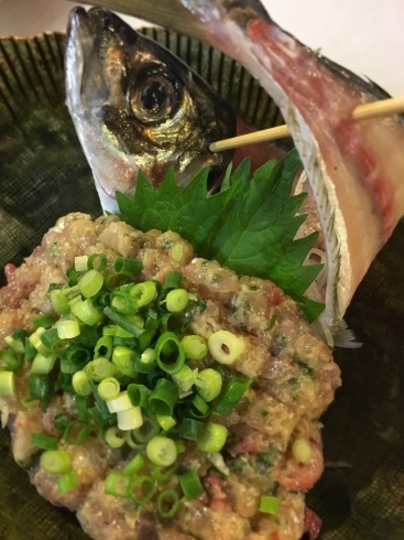 釣り鯵のなめろう「なめろう」