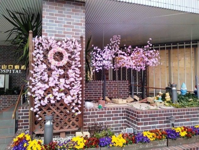 「玄関を桜の春飾りにしました」