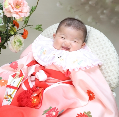 「COCOユニオンで　赤ちゃん　家族写真　入学写真 スタジオパック　」