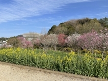 花の広場