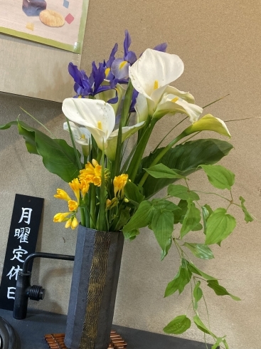 お客さまより畑で出来たお花を頂きました！「4月3日(月)定休日の為お休みです(*'▽'*)」